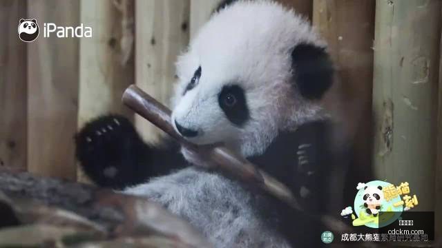 姆巴佩,巴黎两度夺,冠背后的足,沙巴体育,沙巴体育官网,沙巴体育app,沙巴体育平台